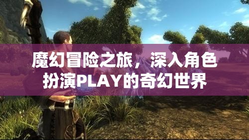 魔幻冒險(xiǎn)之旅，深入角色扮演PLAY的奇幻世界