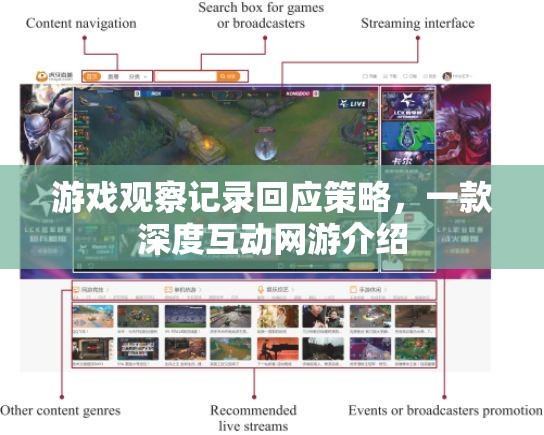 游戲觀察記錄回應(yīng)策略，一款深度互動網(wǎng)游介紹