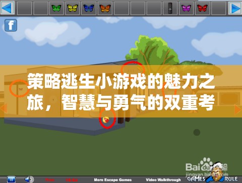 策略逃生小游戲的魅力之旅，智慧與勇氣的雙重考驗