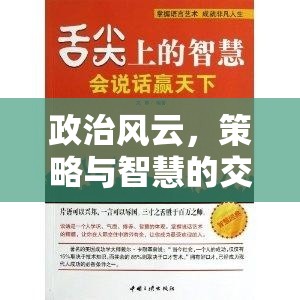 權(quán)謀天下，政治風(fēng)云與策略智慧的交響曲