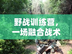 野戰(zhàn)訓(xùn)練營，戰(zhàn)術(shù)與勇氣的體育盛宴