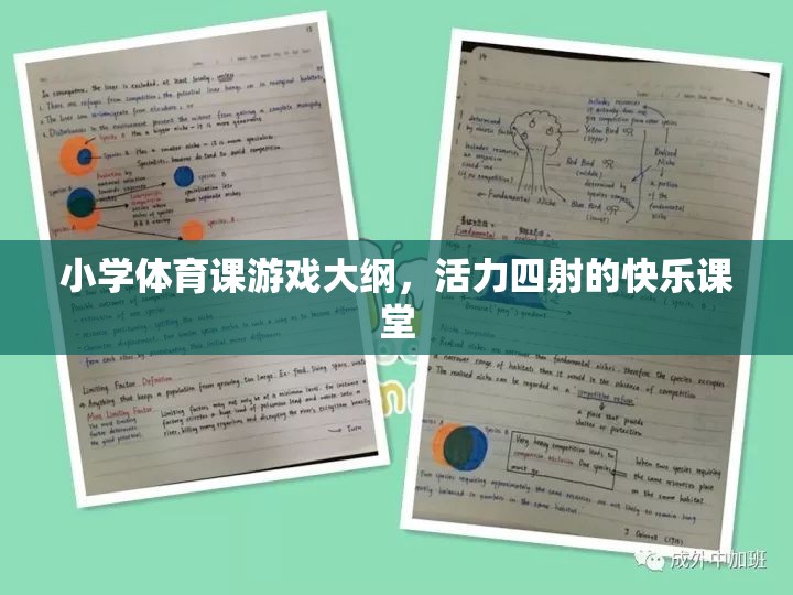 活力四射的快樂課堂，小學(xué)體育課游戲大綱