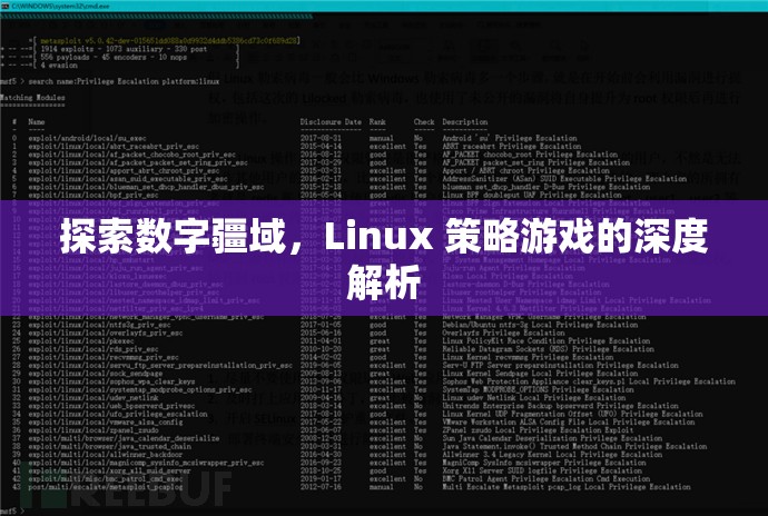 探索數(shù)字疆域，Linux策略游戲的深度解析