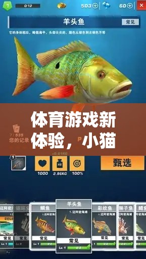 解鎖體育游戲新體驗，小貓曬魚玩法全面解析