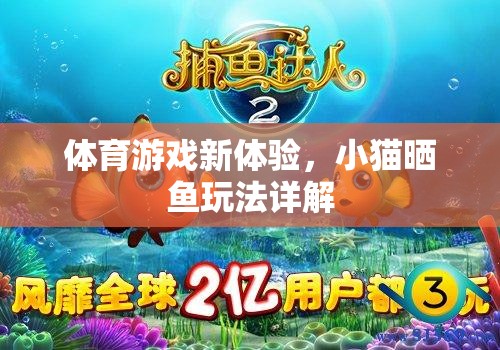 解鎖體育游戲新體驗，小貓曬魚玩法全面解析