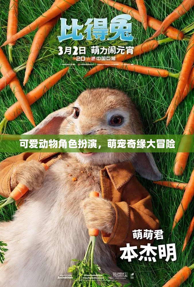 萌寵奇緣，可愛動物角色大冒險