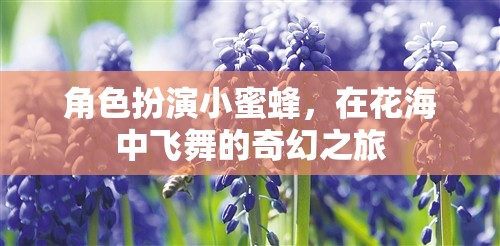 小蜜蜂的奇幻花海之旅，在花間翩翩起舞的夢(mèng)幻冒險(xiǎn)