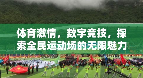 全民運(yùn)動場，體育激情與數(shù)字競技的無限魅力探索