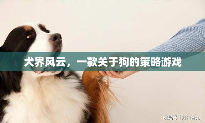 犬界風(fēng)云，策略與愛(ài)交織的狗狗王國(guó)