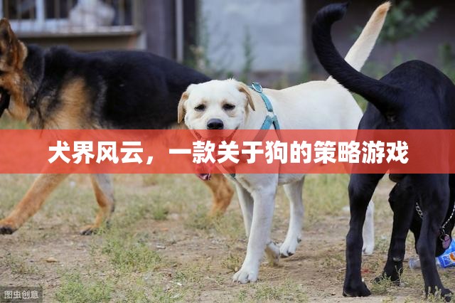 犬界風(fēng)云，策略與愛(ài)交織的狗狗王國(guó)