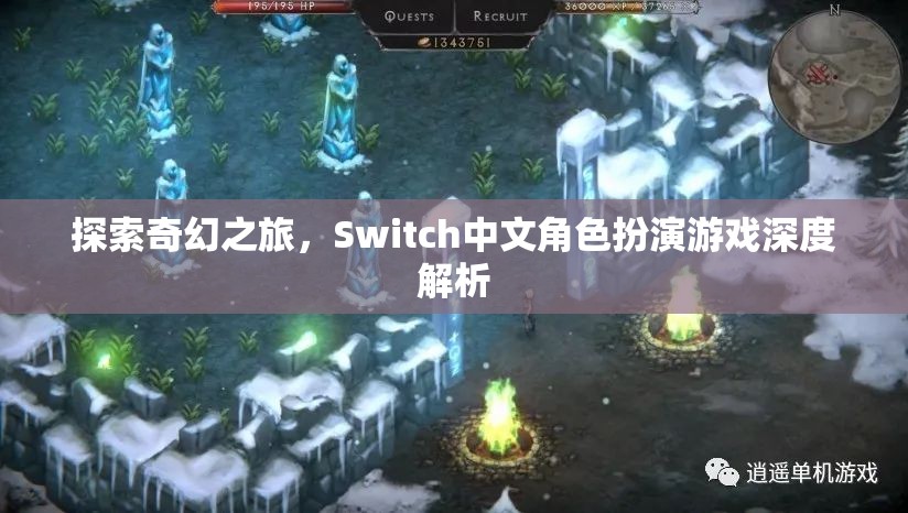 探索奇幻之旅，Switch中文角色扮演游戲深度解析