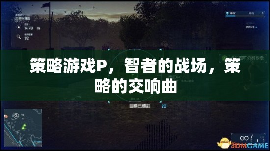 智者的戰(zhàn)場，策略游戲P的交響曲