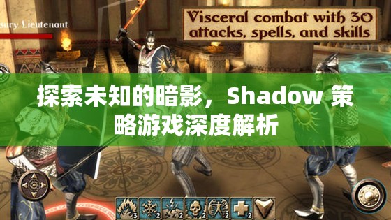 Shadow 策略游戲，探索未知的暗影深度解析