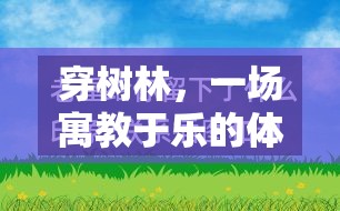 寓教于樂，穿樹林體育游戲的教學反思與啟示