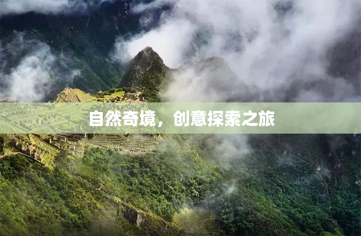 自然奇境，一場創(chuàng)意探索的非凡之旅