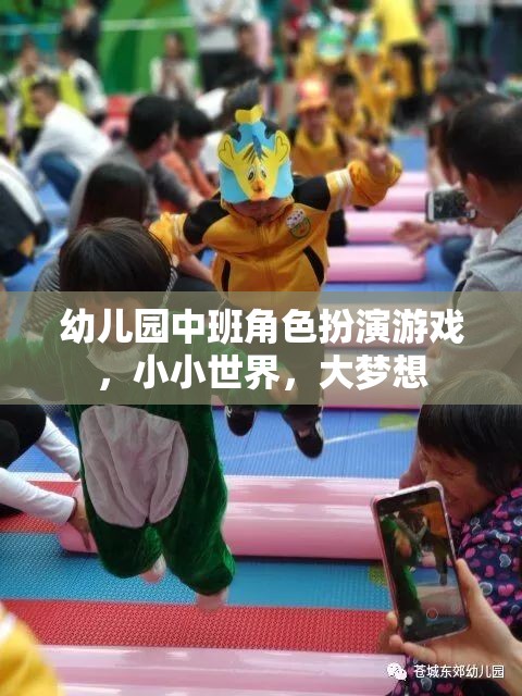 小小世界，大夢(mèng)想——幼兒園中班角色扮演游戲探索