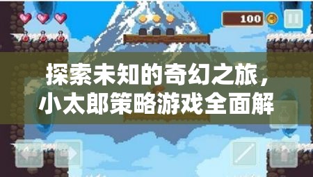 小太郎策略游戲，一場探索未知的奇幻之旅全面解析