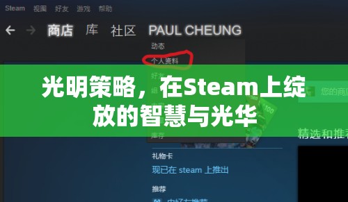 光明策略，Steam上的智慧與光華綻放