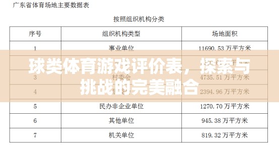 探索與挑戰(zhàn)，球類體育游戲的完美融合評價