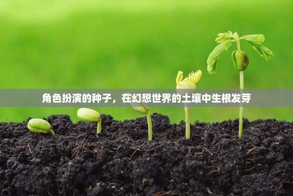 幻想之土，角色扮演的種子生根發(fā)芽