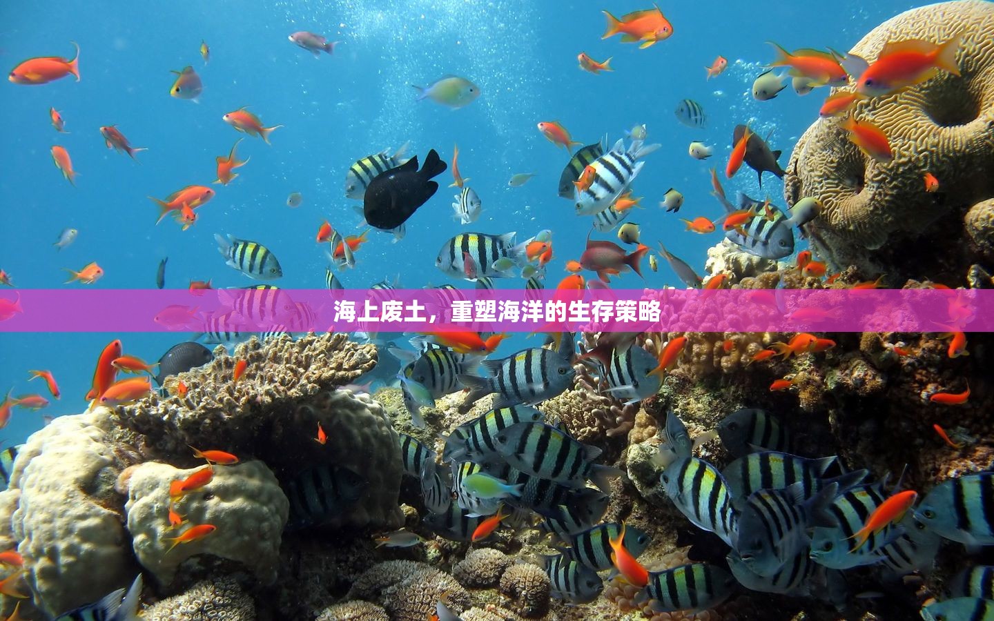 重塑海洋，海上廢土的生存策略