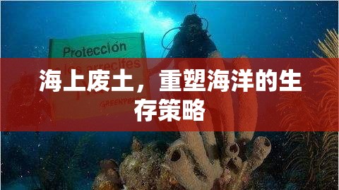 重塑海洋，海上廢土的生存策略