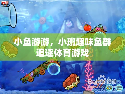 小班趣味魚群追逐，歡樂的海洋體育游戲