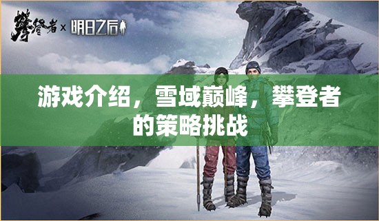 游戲介紹，雪域巔峰，攀登者的策略挑戰(zhàn)