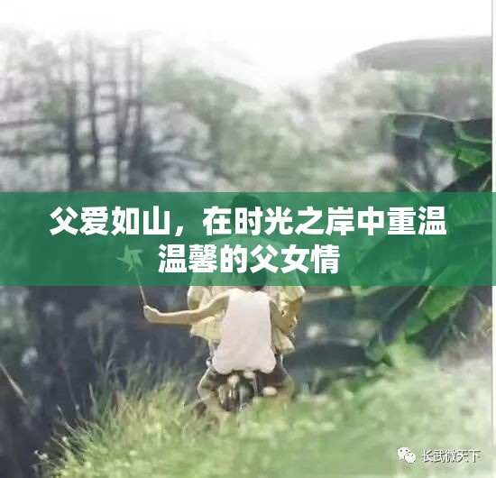 時光之岸的溫馨回憶，父愛如山的深情篇章