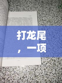 傳統(tǒng)與現(xiàn)代交融，探索‘打龍尾’體育游戲的魅力