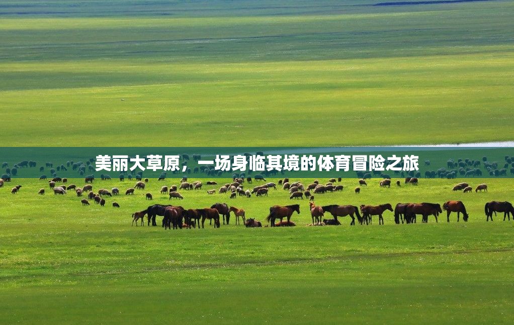 美麗大草原，一場身臨其境的體育冒險之旅