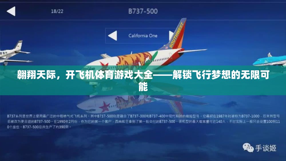 解鎖飛行夢(mèng)想，翱翔天際的飛機(jī)體育游戲大全
