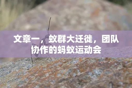 蟻群大遷徙，團隊協(xié)作的奇妙運動會