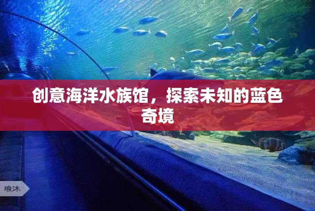 藍(lán)色奇境，創(chuàng)意海洋水族館的探索之旅