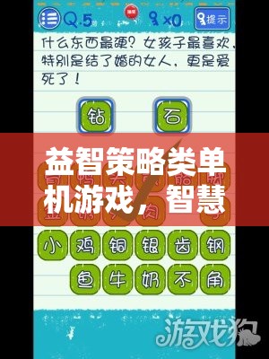 智慧與策略的完美碰撞，探索益智策略類單機(jī)游戲的魅力