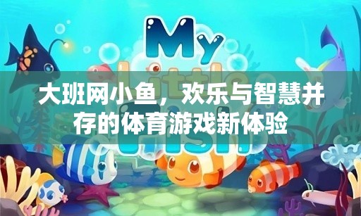 大班網(wǎng)小魚，歡樂與智慧并驅(qū)的體育游戲新篇章