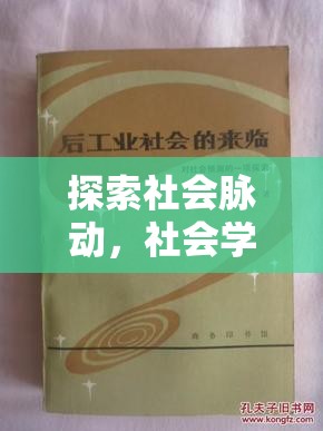 社會棱鏡，探索與角色扮演——社會學(xué)在互動游戲中的實踐與啟示