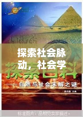 社會棱鏡，探索與角色扮演——社會學(xué)在互動游戲中的實踐與啟示