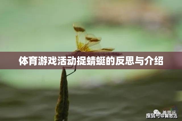 捉蜻蜓，一項體育游戲活動的反思與介紹