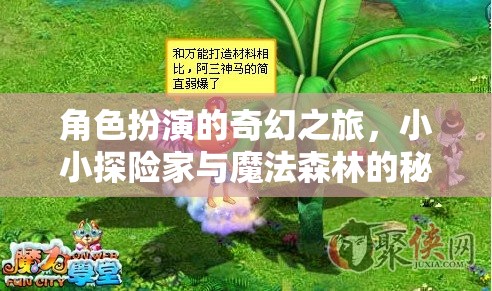 小小探險家與魔法森林的奇幻之旅，揭秘角色扮演的奇妙世界