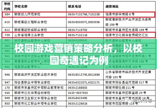 校園奇遇記，游戲營(yíng)銷策略的深度剖析