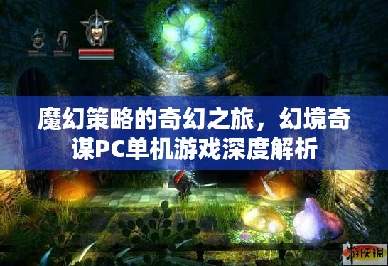 魔幻策略的奇幻之旅，幻境奇謀PC單機(jī)游戲深度解析