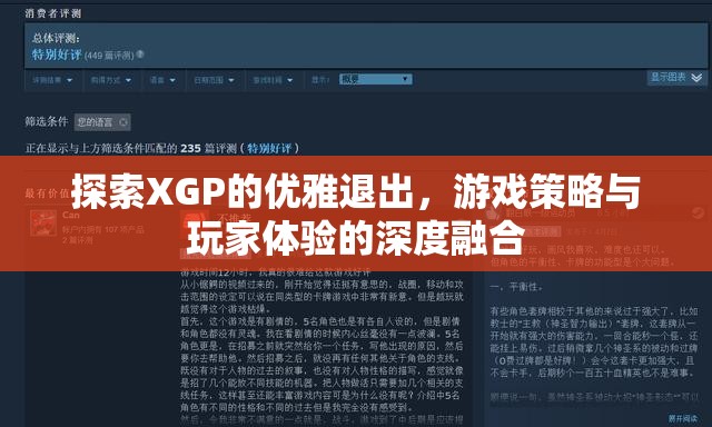 XGP優(yōu)雅退出策略，游戲策略與玩家體驗(yàn)的深度融合