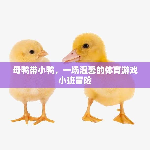 母鴨小隊，溫馨的體育游戲小班冒險