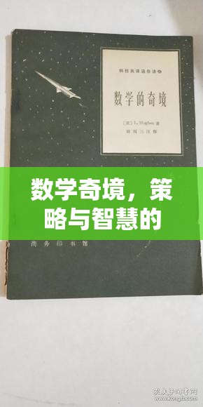 數(shù)學(xué)奇境，策略與智慧的交響樂章