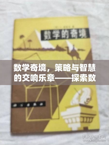 數(shù)學(xué)奇境，策略與智慧的交響樂章