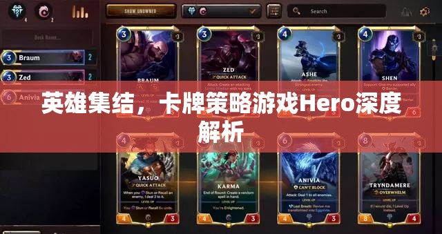 英雄集結(jié)，深度解析卡牌策略游戲Hero