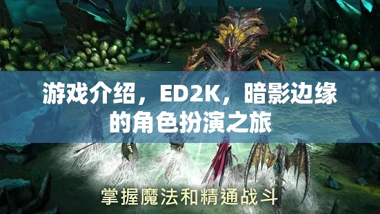 暗影邊緣，ED2K的沉浸式角色扮演之旅