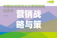 商海奇謀，數(shù)字疆域中的營銷戰(zhàn)略與策略游戲