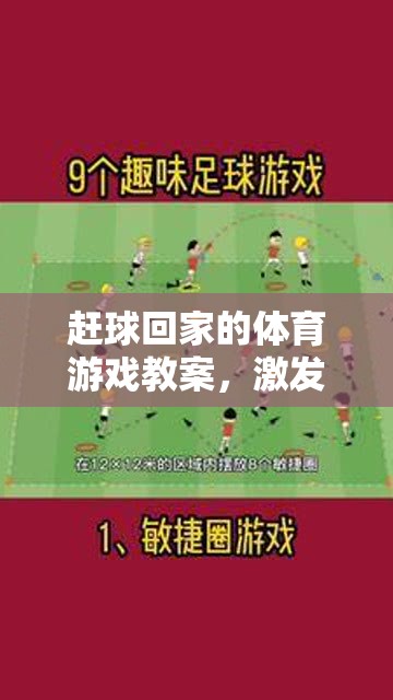 趕球回家，激發(fā)團(tuán)隊(duì)與個(gè)人技能完美融合的體育游戲教案